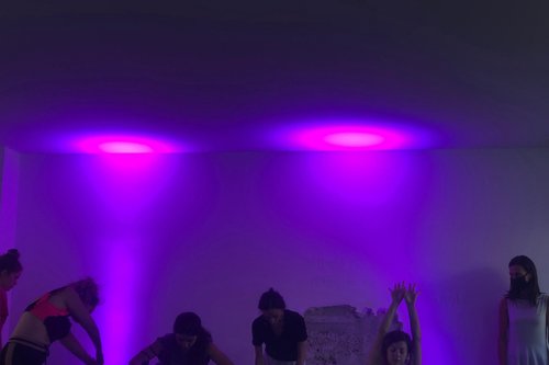 Changing Landscapes: Dance & Science workshop (short version)