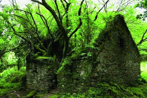 Compagnie Les Fondateurs