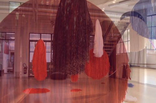 Pois Poil Appeal - Design Days