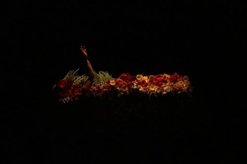 Jan Fabre - Preparatio Mortis