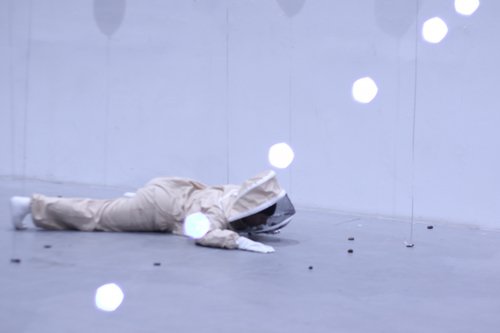Changing Landscapes - Laboratoire Danse & Sciences